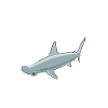 Hammerhead Shark Enthusiast Clear & Direct