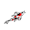 Koi Fish Purists Statement