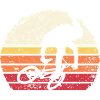 Retro Sonnenuntergang Radfahrer Silhouette