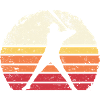 Baseball Sunset Silhouette