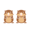 Humour petit castor