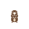 Humour petit castor