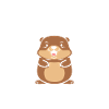 Humour petit castor