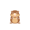 Humour petit castor