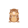 Humour petit castor