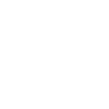 Hedgehog with Sunglasses Hedgehogs
