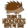 Hedgehog Funny Hedgehogs