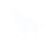 Lumberjack Chainsaw Arborist