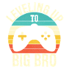 Leveling up to Big Bro