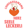 Hund Chihuahua