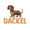 Hund Dachshund Dackel