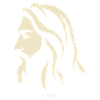 Side view of a guy like Jesus