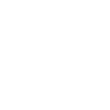 Swan White Duck Bird Goose