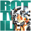 Rottweiler Portrait