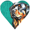 Rottweiler Portrait