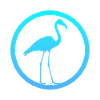 Waterfowl Flamingos Exotic