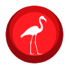 Flamenco Flamingo Exotic