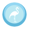 Flamenco Flamant rose flamenco