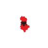 Albanie