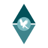 Bird, Cockatoo, Bird