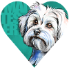 Malteser Portrait