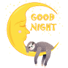 Good Night, Sloth