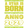 2029