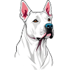 Dogo Argentino