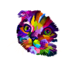 Scared Cat