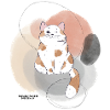 🐾 Rot-Weiße Katze 🐈