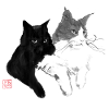 2 cats
