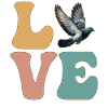Pigeon Bird