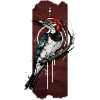 Rhythmic Drummer: Woodpecker's Percussion