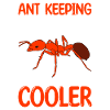 Antkeeping Ant Breeding Ants