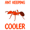 Antkeeping Ant Breeding Ants