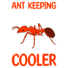 Antkeeping Ant Breeding Ants