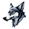 Grey Wolf