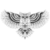 Owl ornamental owl drawing,