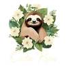 Costa Rica Tropical Sloth