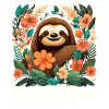 Costa Rica Tropical Sloth