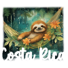Costa Rica Tropical Sloth