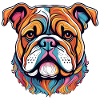 American Bulldog