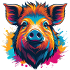 Boar