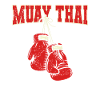 Muay Thaï