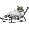 Cat Vacation