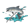 Salmon Fishing Salmon Angler