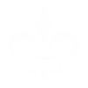 Majestic French lily Design