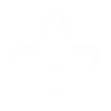 fleur de lis