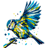Blaumeise Polygon bunt
