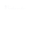 Taekwondo Martial Arts Master
